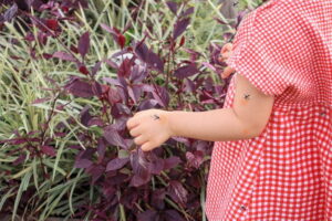 Τσίμπημα από έντομο στο παιδί