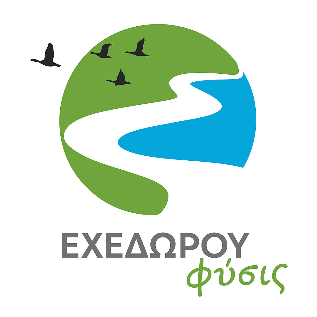 Event header image